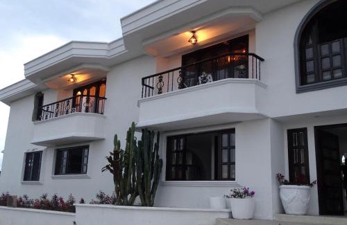 Alcala Hotel | Hotel Palmas De Alcalá