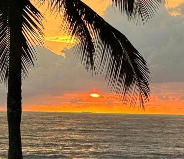 Barra Velha Hotel | Hotel Paulista