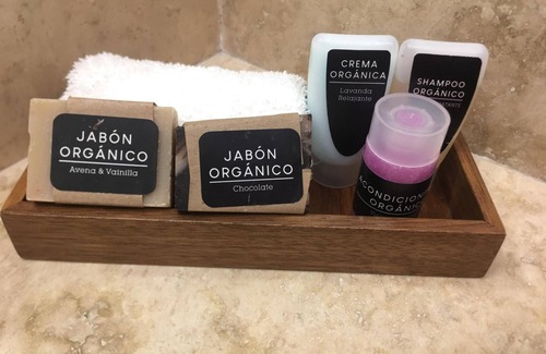 Gomez Palacio Hotel | Hotel Plaza Catedral