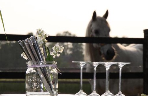 Hoevelriege Hotel | Hotel Restaurant Piärdestall Hövelhof