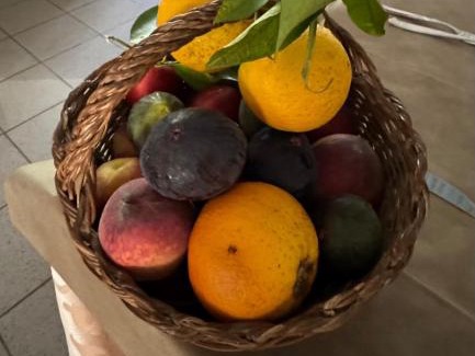 Vico del Gargano Hotel | Hotel Ristorante Sturno