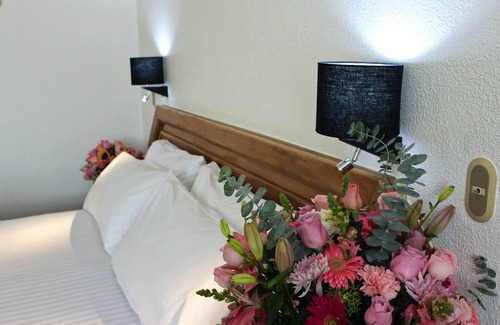 Santa Cruz Nieto Hotel | Hotel San Juan Park