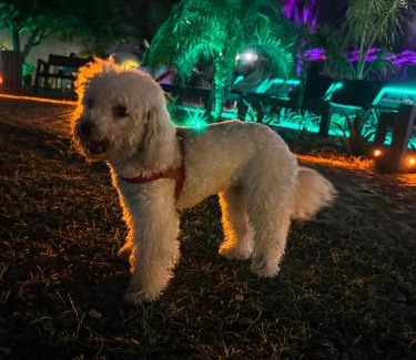 Termas de Rio Hondo Hotel | Hotel Termal Emperatriz Termas de Río Hondo