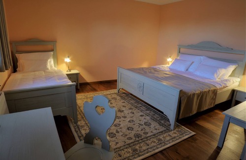 Skofja Loka Hotel | Hotel Zamorc