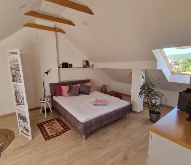 Niksic Apartment | House 11