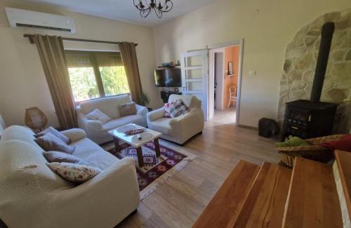 Niksic Apartment | House 11