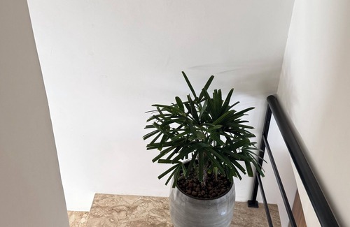 Senhor Do Bonfim Apartment | House 48 - Gamboa