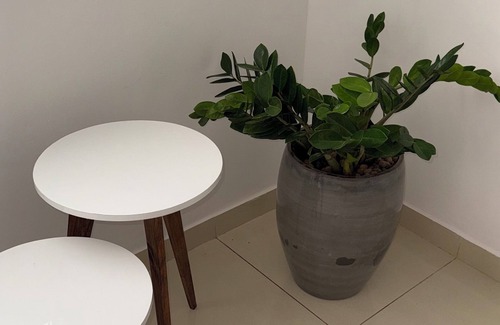 Senhor Do Bonfim Apartment | House 48 - Gamboa