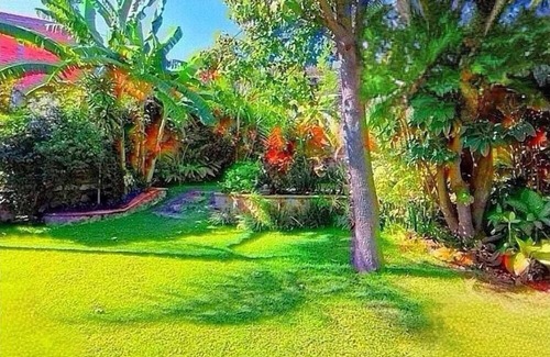 Tequila House | House cabaña chula vista 5 minutes from downtown Tequila jalisco