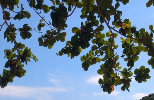 Lazaro House | House Praia do Lázaro 2 bedrooms