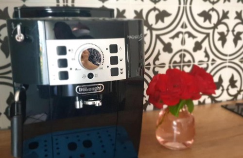 Kolovicë Villa | House Saralina with garden next to tokbarshe and germi