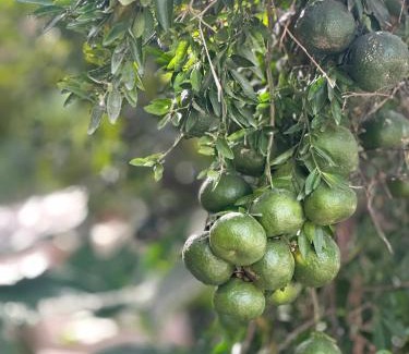 Ucu House | house with pool yucatan