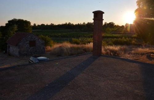 Trn House | House with the ecogarden at the end of the Village