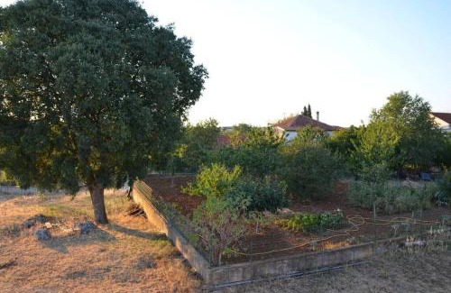 Trn House | House with the ecogarden at the end of the Village