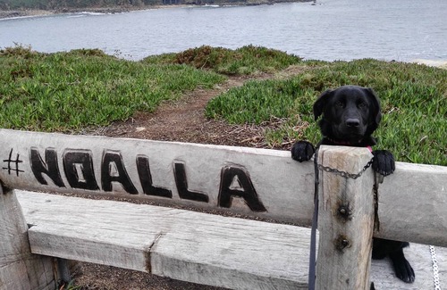 A Lanzada Condo | Housing 900 meters from the launch, Rural well located