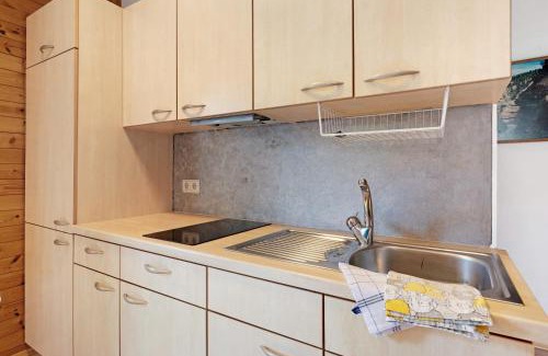 Aldino Apartment | Huanzhof Ferienwohnung Schwarzhorn