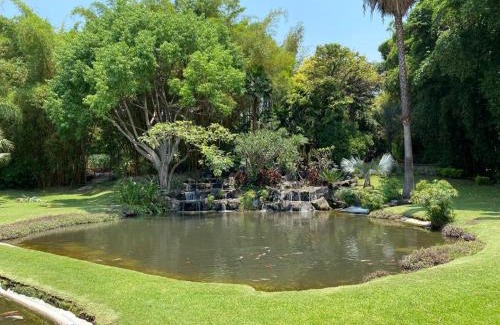 Jiutepec Hotel | Huayacán Cuernavaca Curamoria Collection