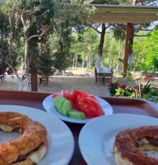 Zeytinli Other | İda bay bungolow