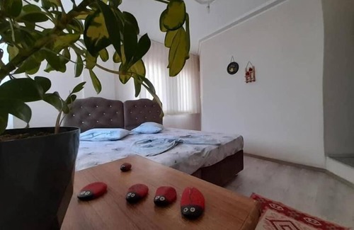 Cide House | İlyada Pansiyon