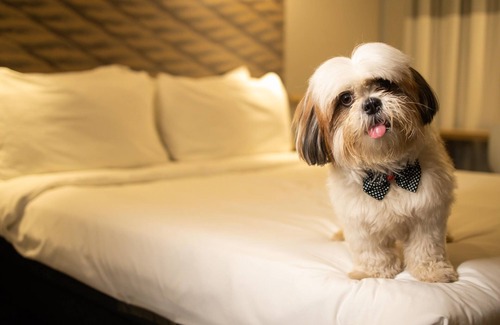 Juazeiro do Norte Hotel | ibis Juazeiro do Norte