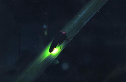 Shimonoseki Hotel | Ichinomata Onsen Grand Hotel