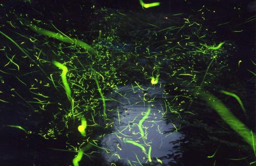 Shimonoseki Hotel | Ichinomata Onsen Grand Hotel