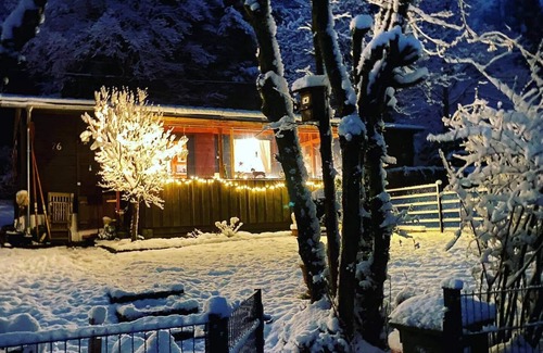 Pfalzfeld House | Idyllically situated forest cottage in the front Hunsrück