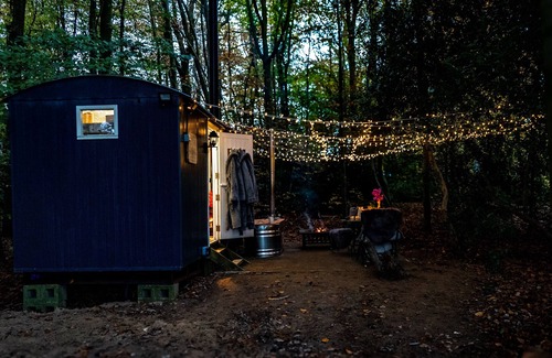 Stuppington Cabin | If you go into the woods today. Off-grid yet comfy, warm and luxurious