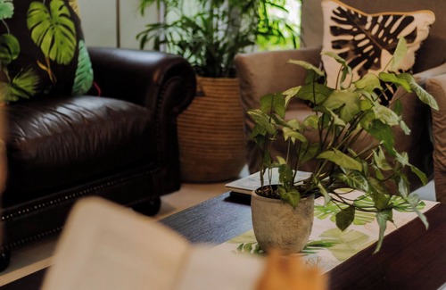 St. Lucia Bed & Breakfast | iGwalagwala Guest House