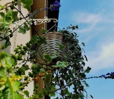 Clusane Apartment | Il Cortile