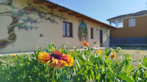 Piozzo Bed & Breakfast | Il Giardino di Sofia B&B