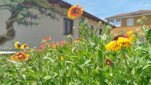 Piozzo Bed & Breakfast | Il Giardino di Sofia B&B