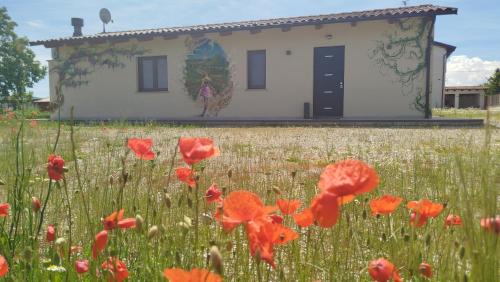 Piozzo Bed & Breakfast | Il Giardino di Sofia B&B