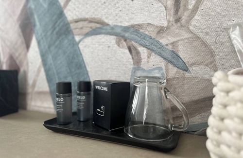 Piacenza Apartment | IL NIDO GUESTHOUSE Elegance Comfort:Luxury Apartment in the Heart of Piacenza