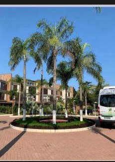 Riviera de Sao Lourenco Apartment | ILHA VERDE RESORT - Riviera de São Lourenço