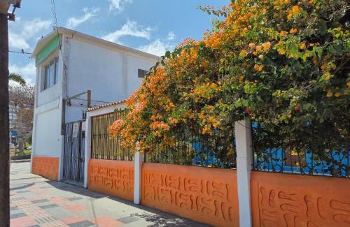 Arica House | Illariy Wasi Hostal