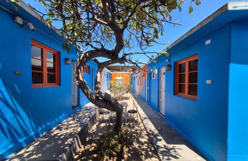 Arica House | Illariy Wasi Hostal