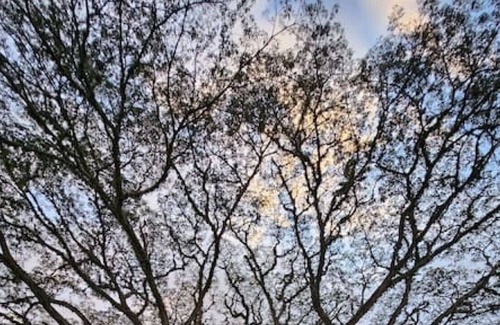 Roldanillo Cabin | Increíble cabaña Lewa. Jacuzzi privado - Roldanillo.