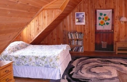 Foresta Cabin | INSIDE Yosemite! Log Cabin, Views of Half Dome & El Capitan. Starry skies!