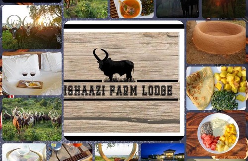 Nyabushozi House | Ishaazi Farm Lodge