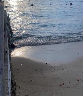 Rosario Islands Hotel | Isla Los Erizos EcoHouse