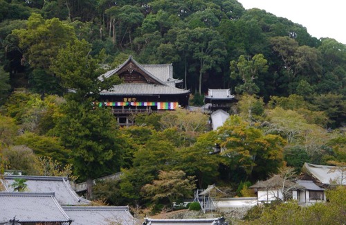 Sakurai Hotel | Itaniya