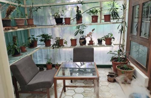 Bhopal House | Ivy's