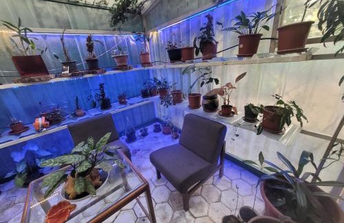 Bhopal House | Ivy's