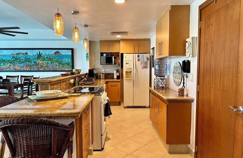 Ixtapa Condo | Ixtapa 2 BR Bay View Grand Residencial Luxury Condo BVG