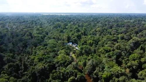 Indiana Cabin | Jacamar Lodge Expeditions