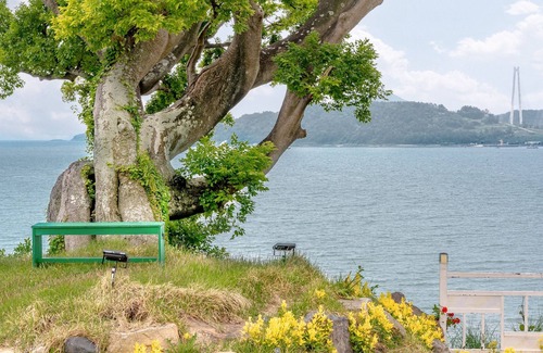 Yeosu House | Jangsuri Pension in Yeosu