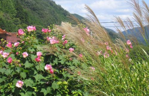 Niimi House | Japanese Style Inn Dohzen Miwa