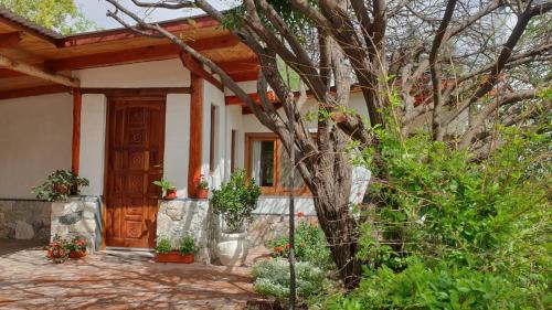 Ischilin House | Jardín Dorado