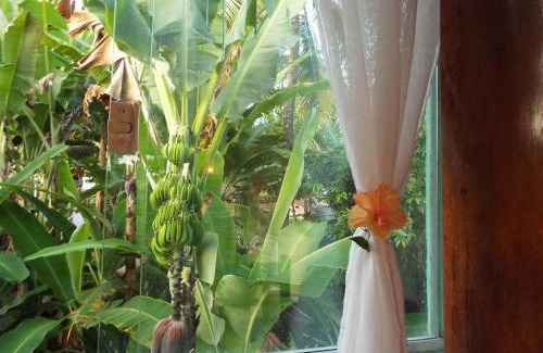 Velha Boipeba House | Jardim UIXA